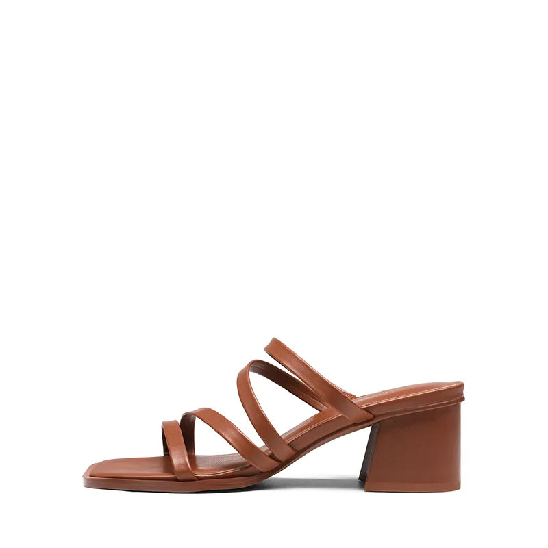 TAN
